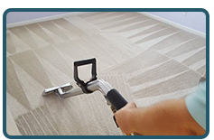 Professional Carpet Cleaning Services